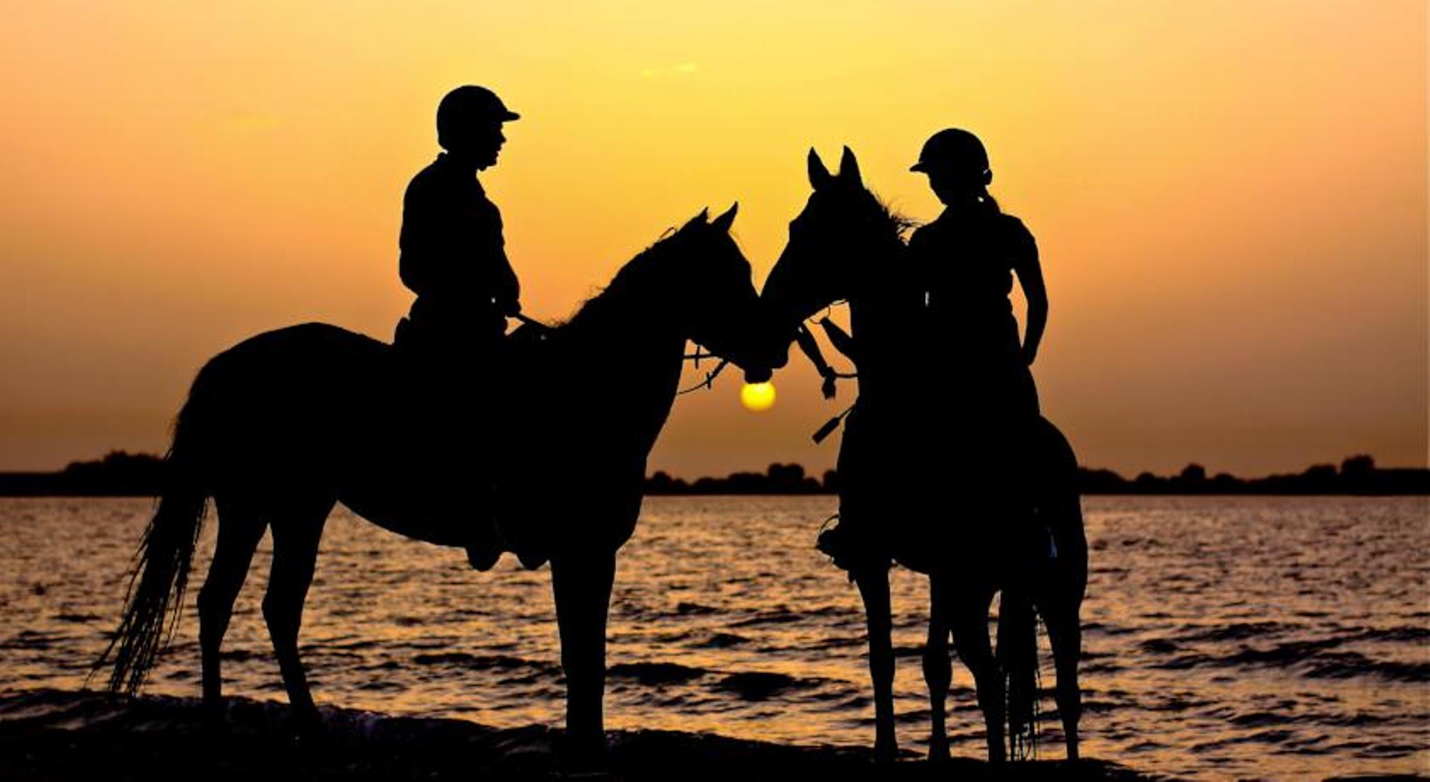 Anantara Sir Bani Yas Island Al Yamm Villa Resort Да'сах Экстерьер фото